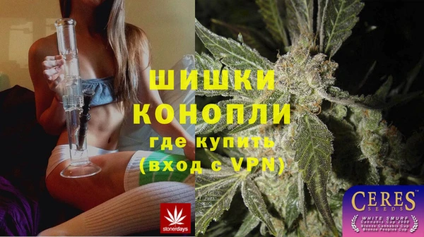 spice Кинешма