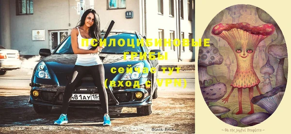 spice Кинешма