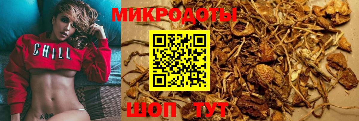 Псилоцибиновые грибы Cubensis Орск
