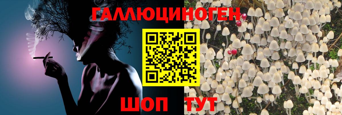 Псилоцибиновые грибы Magic Shrooms  магазин продажи   Орск  Вход с VPN 