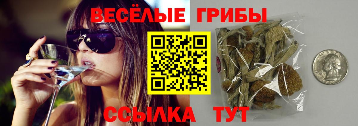 Орск  Псилоцибиновые грибы GOLDEN TEACHER  Вход с VPN  Галлюциногенные грибы ЛСД 