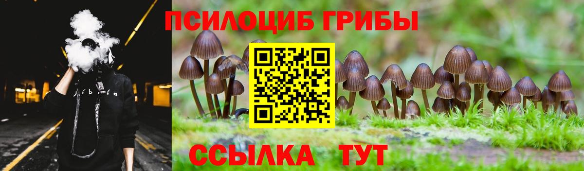 Галлюциногенные грибы Psilocybe Орск